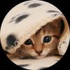 shy_kitten