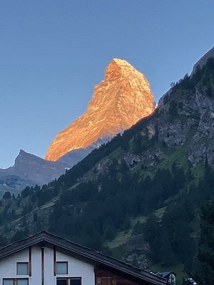 Zermatt Switzerland лошади