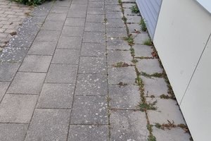 Familie- og legeområder