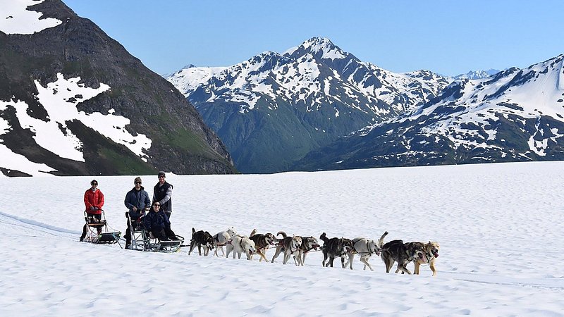 Two sleds being pulled by lines of sled dogs cruise across the snow in front of snowy mountains