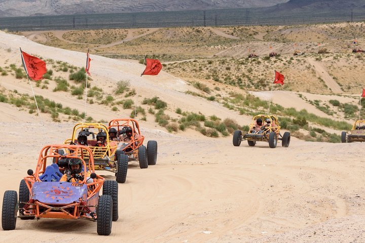 Sun store buggy tours