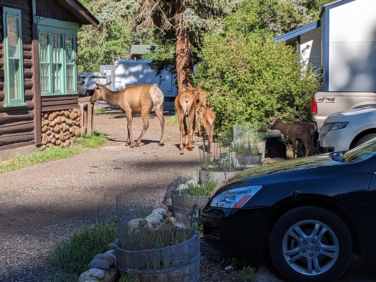 MISTY MOUNTAIN LODGE - Updated 2024 Prices & Reviews (Estes Park, CO)