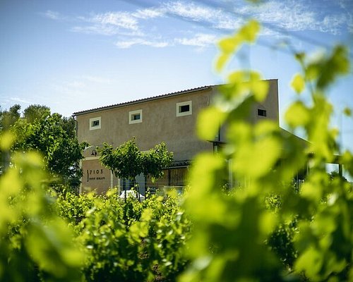 THE BEST de Mallorca Wine Tours & Tastings (Updated 2023)