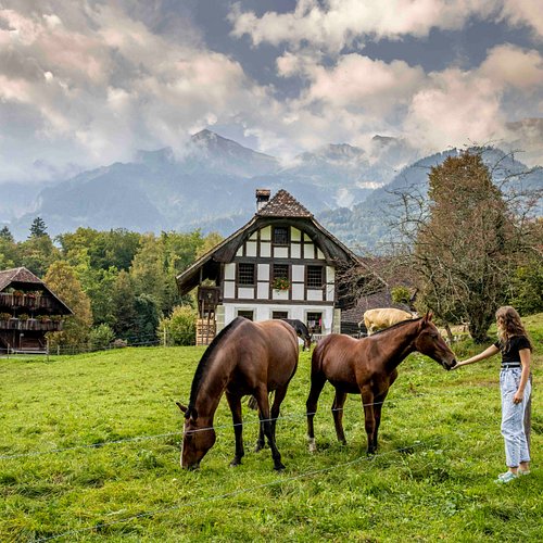Visita Thun: scopri il meglio di Thun, Cantone di Berna, nel 2024