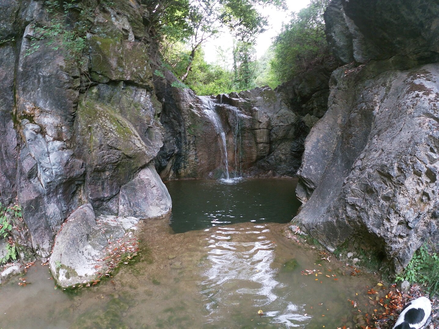 BAGNO DI SAN MICHELE ALLE FORMICHE Tutto quello che c da sapere