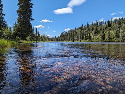 WOLF LAKE WILDERNESS LODGE (Yukon) - Lodge Reviews & Photos - Tripadvisor