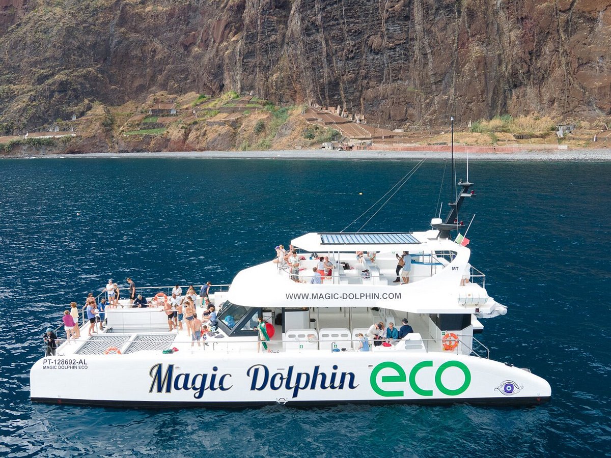 Magic Dolphin, Фуншал: лучшие советы перед посещением - Tripadvisor