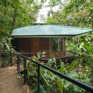 Our bungalows nested in the forest