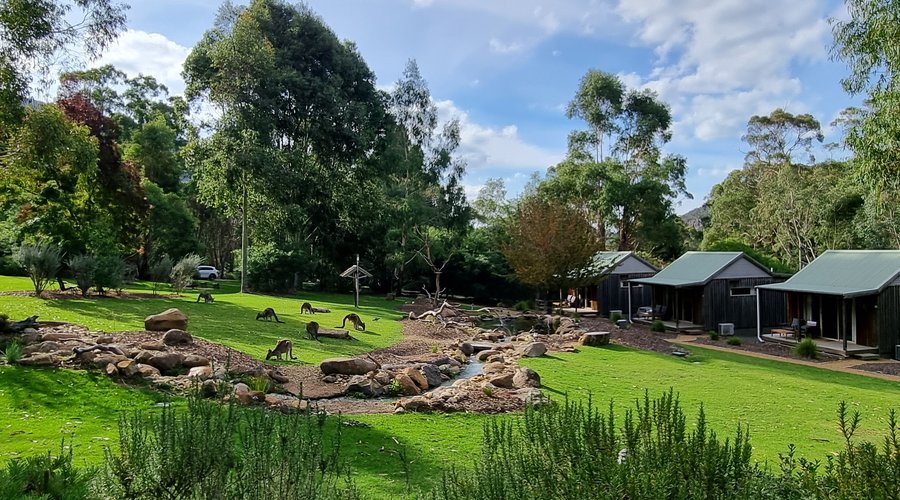 View of wildlife ponds