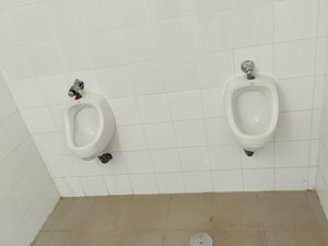 Viajero