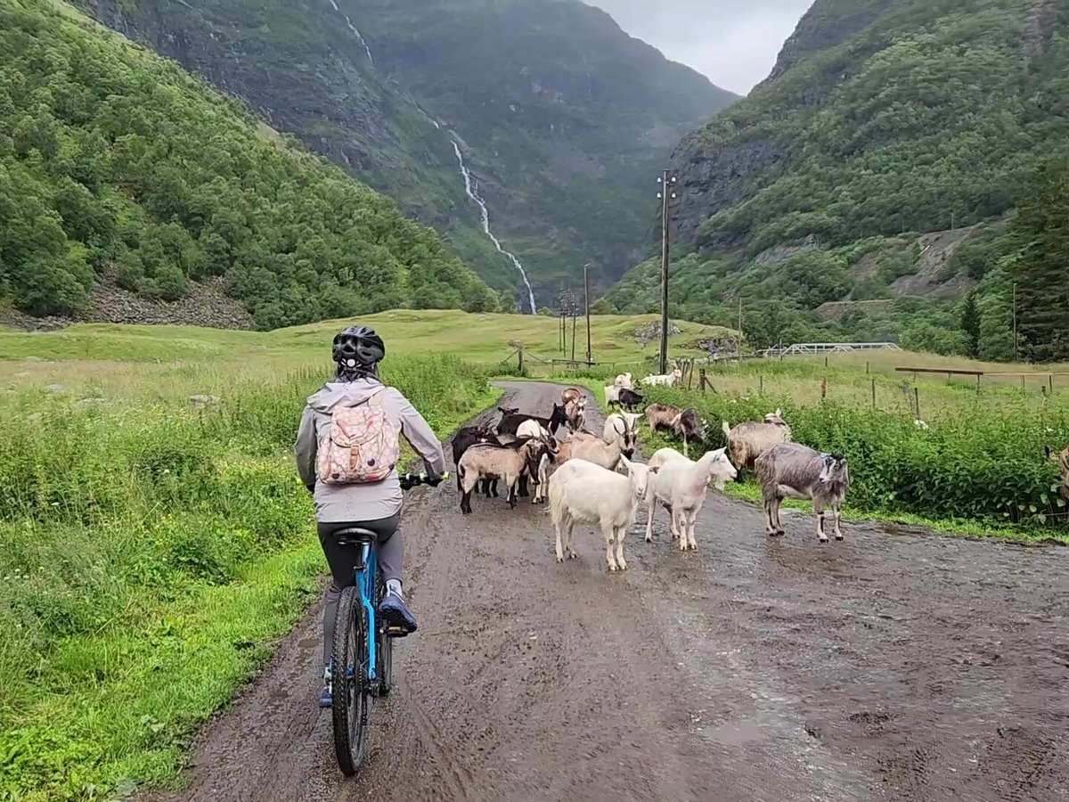 Norway Active, Берген: лучшие советы перед посещением - Tripadvisor