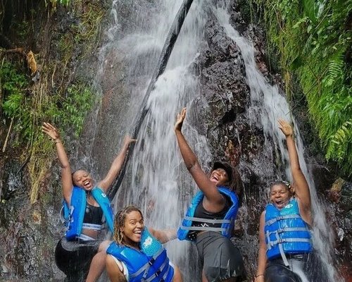 el yunque tours tripadvisor