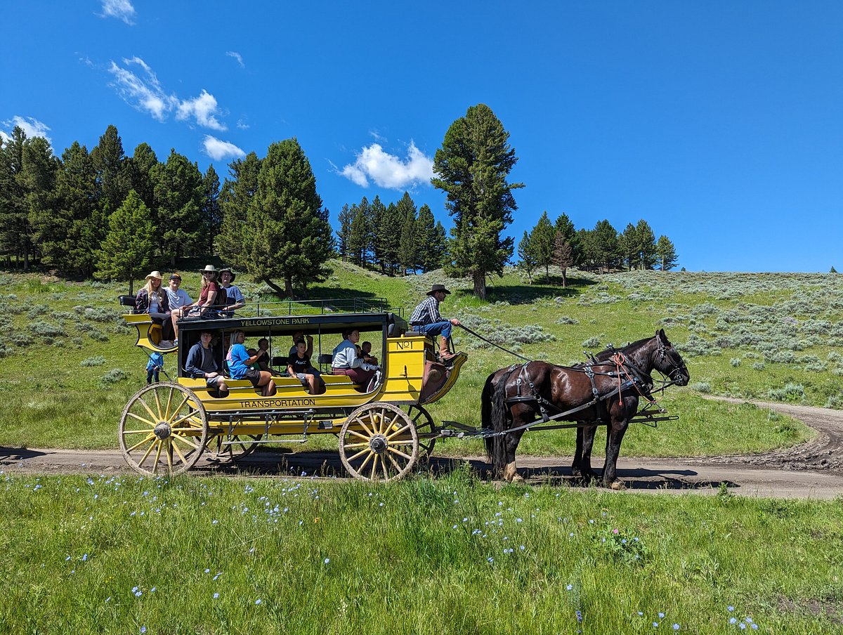 Yellowstone National Park - Xanterra Travel Collection®