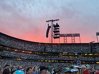 Coke bottle slide.. whaaa? - Oracle Park, San Francisco Resmi - Tripadvisor