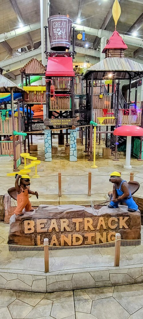 GREAT WOLF LODGE GRAPEVINE, TX Prezzi e Recensioni 2024