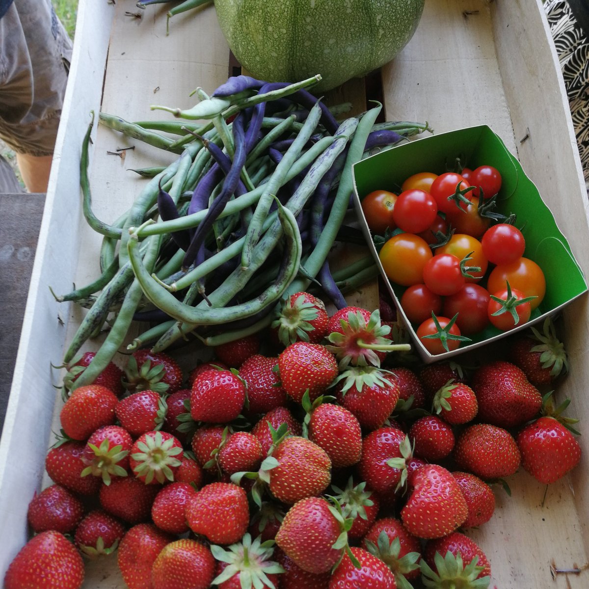 La Planche - cueillette de fruits rouges (Massignieu-de-Rives, France): Address, Phone Number - Tripadvisor