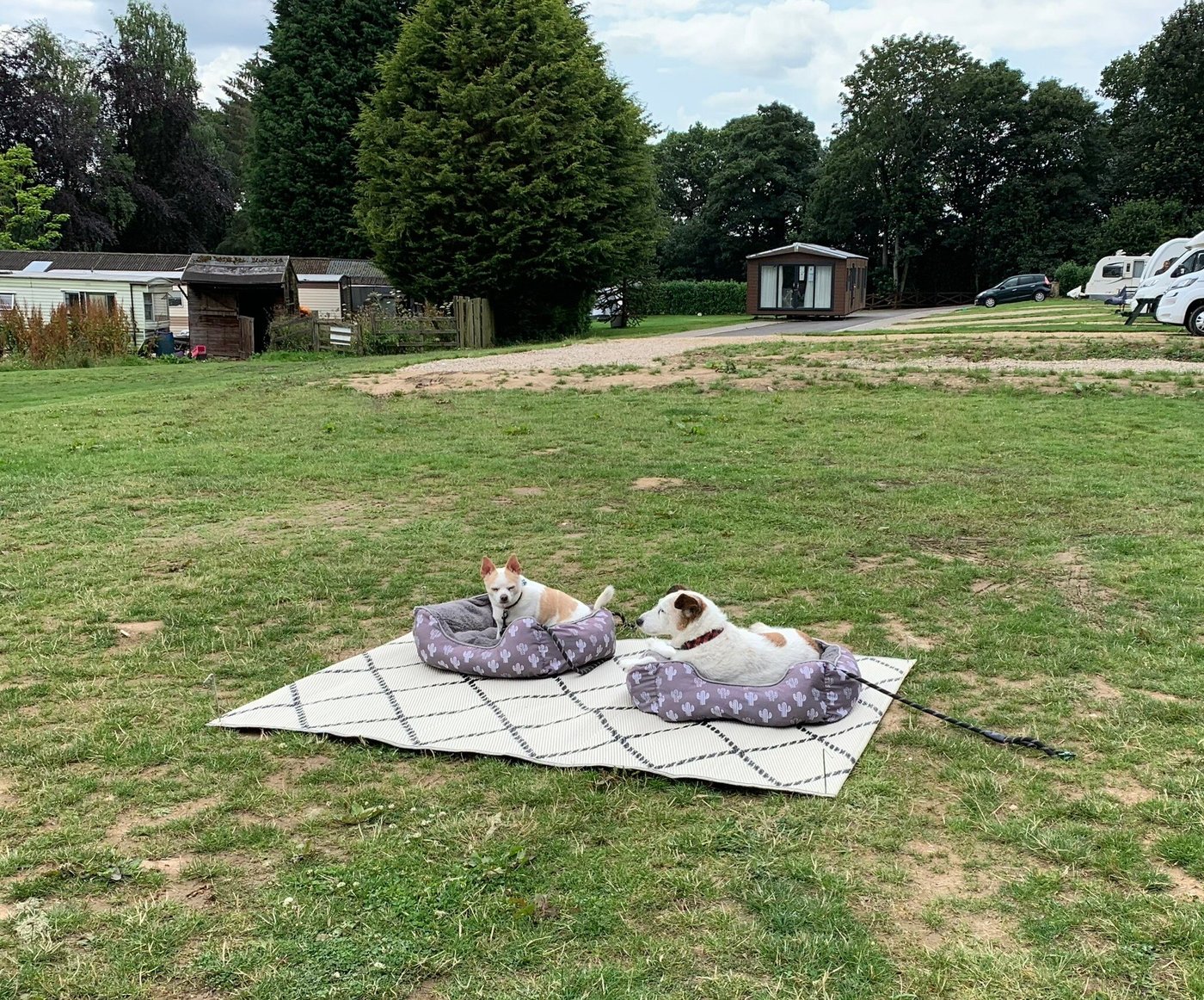the-high-hermitage-holiday-park-reviews-photos-ovingham-england