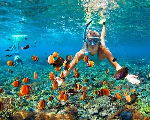 snorkeling tour jamaica