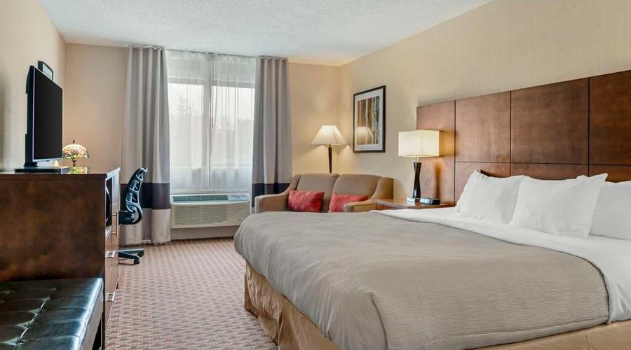 Guest room with king bed(s)