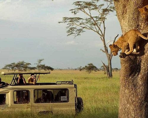 zanzibar 2 day safari