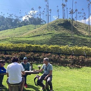 A Coffee Lover's Paradise: 10 Best Things To See In Armenia, Colombia
