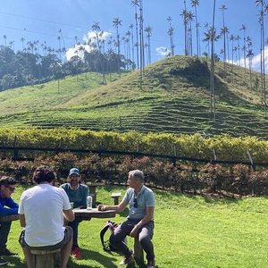 Armenia, Quindio Botanical Garden and Coffee Farm Private Tour 2023