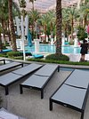 Flamingo Las Vegas. Beach Club Pool, Experience a relaxing …