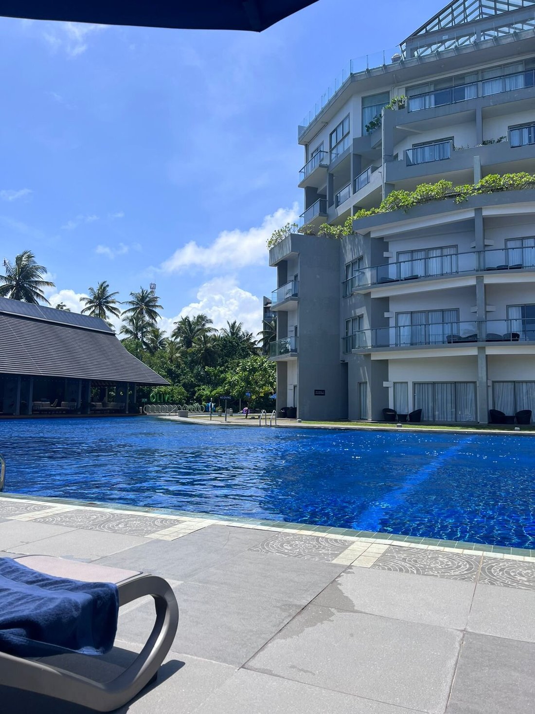 Fotos y opiniones de la piscina del Sheraton Kosgoda Turtle Beach ...