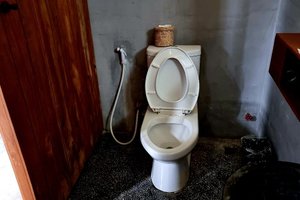 旅行者の写真