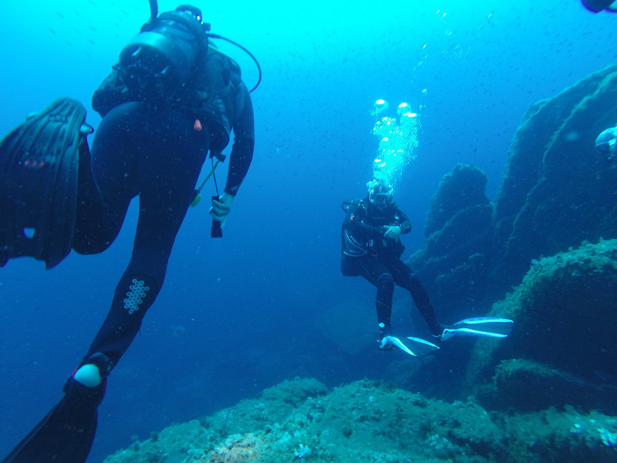 La plongée sous-marine en Corse selon vos envies avec Propriano