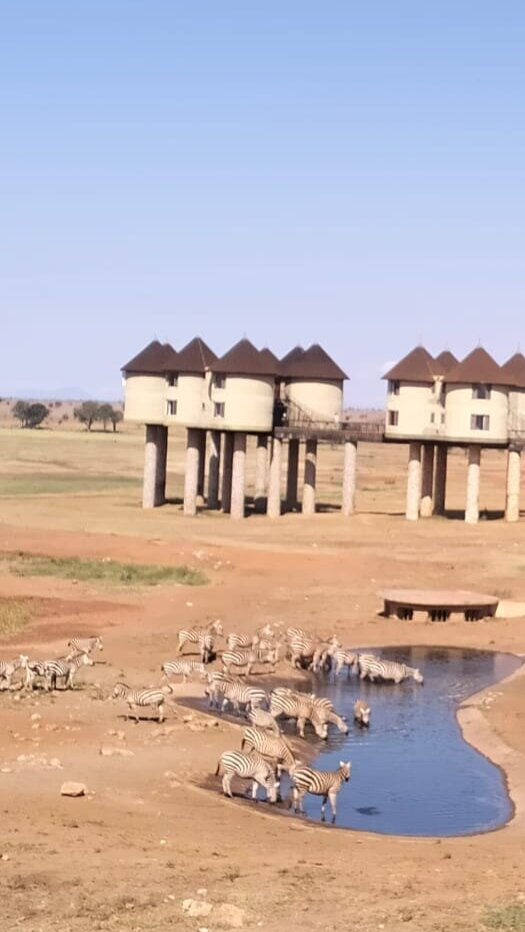 SALT LICK SAFARI LODGE - Updated 2023 (Kenya/Tsavo National Park West)