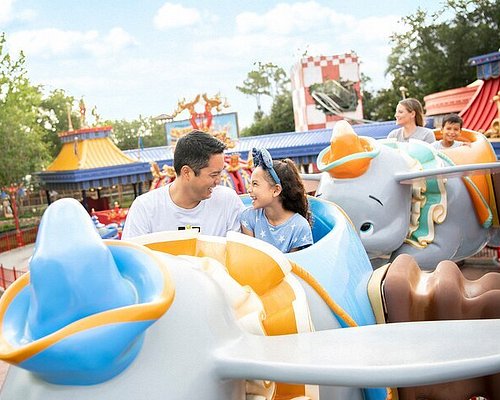 3 Best Disney Parks for Adults - NerdWallet