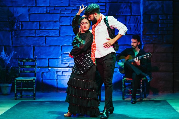 Imagen 4 de Baraka Flamenco Show