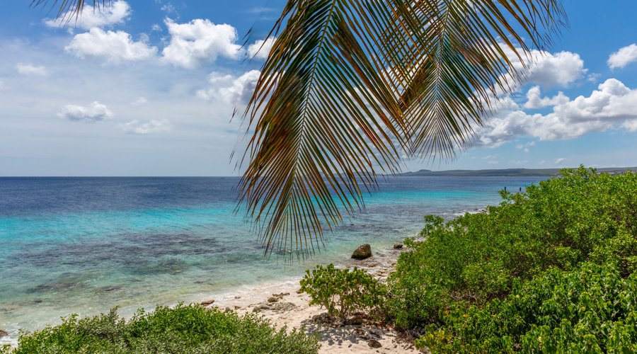 Discover the fusion of luxury and paradise at our beach villa apartment in Bonaire. This haven boasts a private kitchen, two expansive bedrooms with en-suite bathrooms, and captivating ocean vistas. Revel in radiant sunsets from the wide balcony or step directly onto the immaculate beach for aquatic escapades and serene relaxation. Designed with meticulous attention to detail for unmatched comfort, our committed team ensures flawless service. Reserve your spot and indulge in Bonaire's premier tr