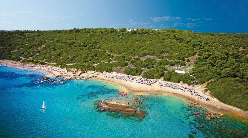 Mare