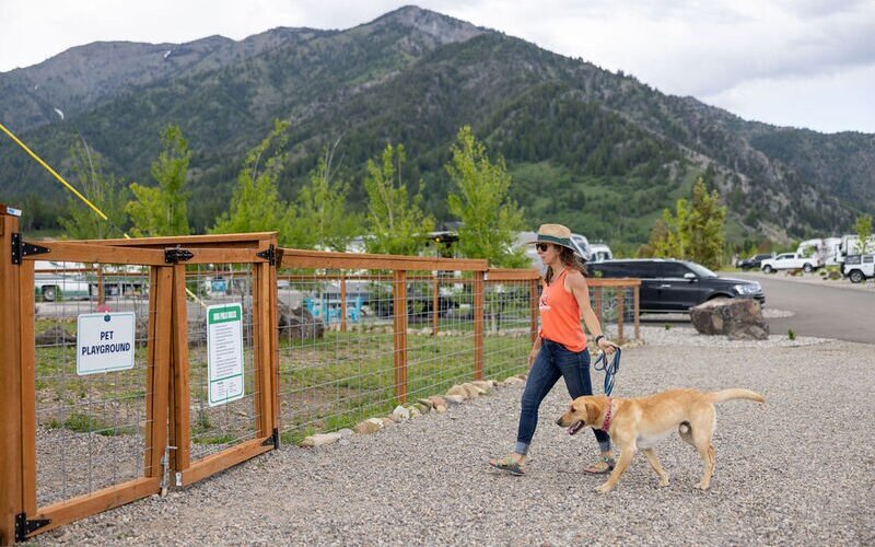 Fenced in dog park 