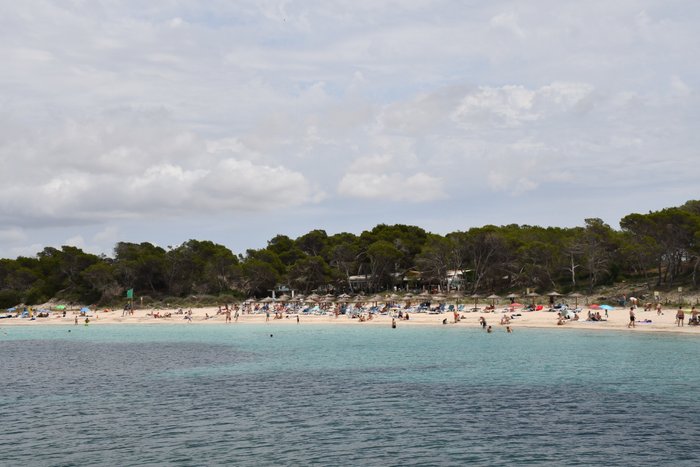 Imagen 8 de Playa dels Estanys