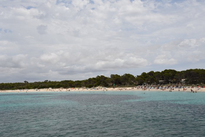 Imagen 7 de Playa dels Estanys