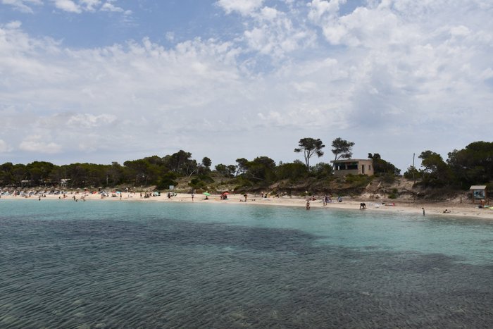 Imagen 6 de Playa dels Estanys
