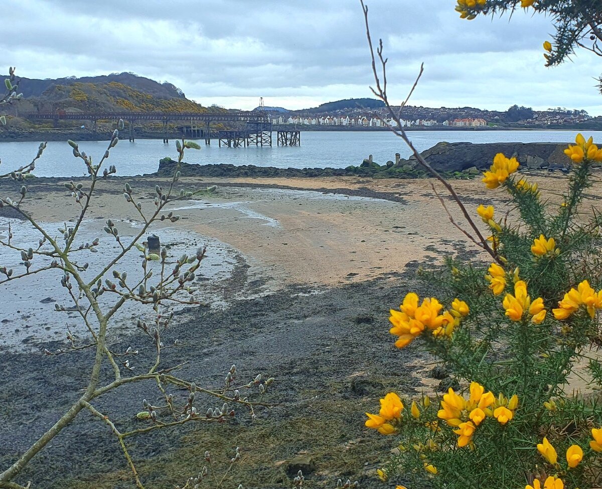 Inverkeithing Inner Bay Beach - Alles wat u moet weten VOORDAT je gaat ...