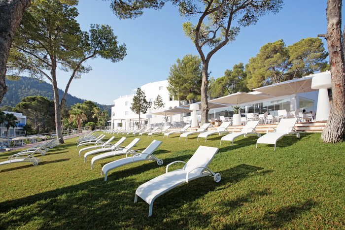 Imagen 2 de Grupotel Ibiza Beach Resort