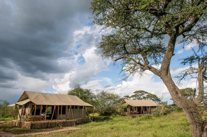 MGUNGA SERENGETI CAMP (Sakina) - Campground Reviews & Photos - Tripadvisor