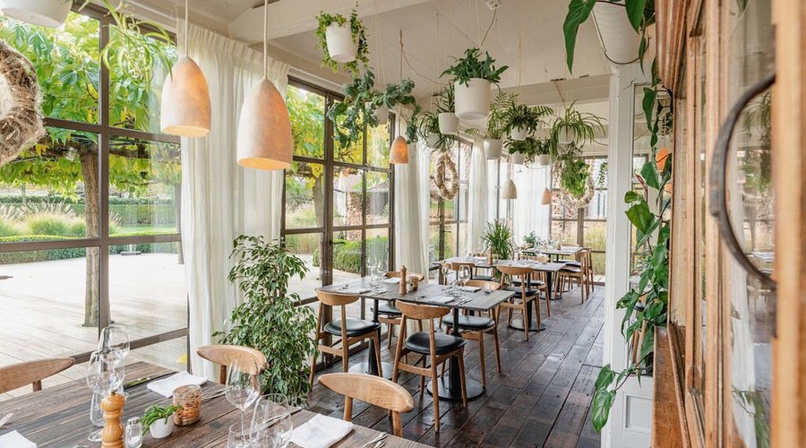 Winter Garden