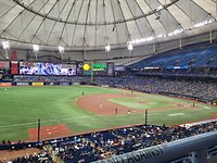 TROPICANA FIELD - 1464 Photos & 438 Reviews - 1 Tropicana Dr, St.  Petersburg, Florida - Stadiums & Arenas - Phone Number - Yelp