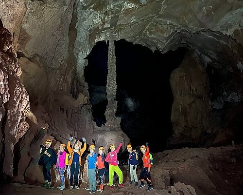 Indochinese tigers at Phong Nha-Ke Bang National Park