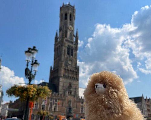 excursion d'un jour en belgique