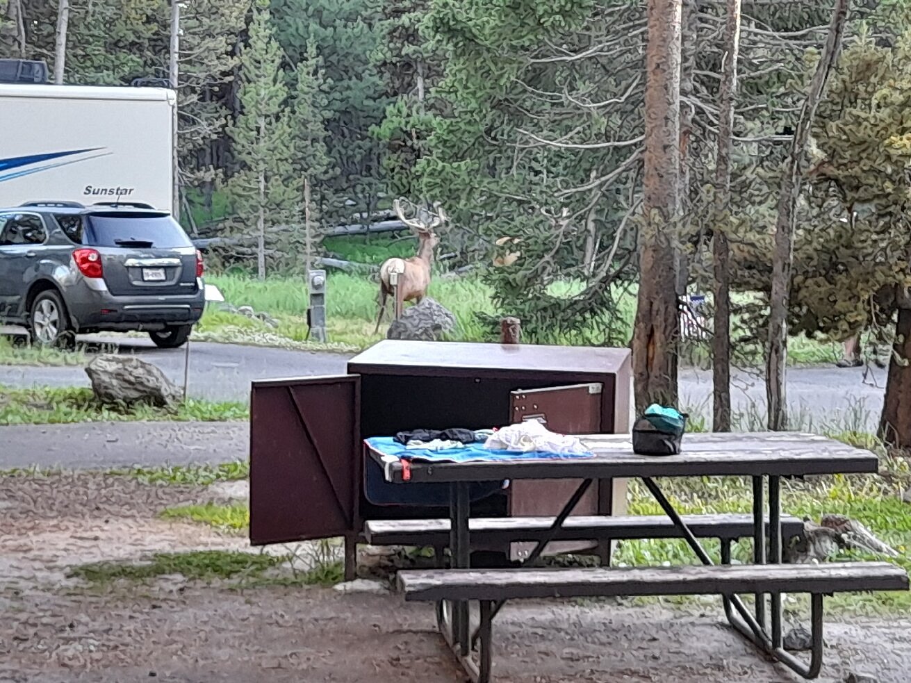 BRIDGE BAY CAMPGROUND (Yellowstone National Park) Campground Reviews