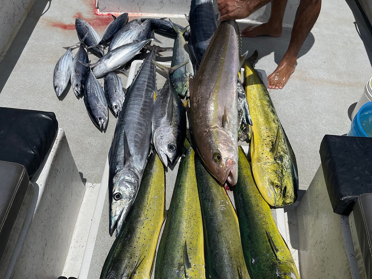 Photos – Kauai Fishing Charters – Hawaiian Style Fishing in Kapaa, Kauai,  Hawaii