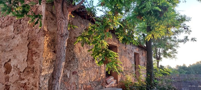 Imagen 9 de El Celler de la Guardia