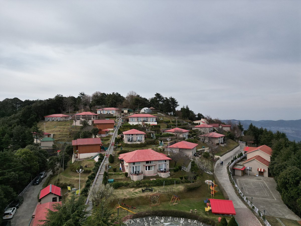 Дворец раджи, ставший отелем - отзыв о The Chail Palace, Chail, Индия -  Tripadvisor